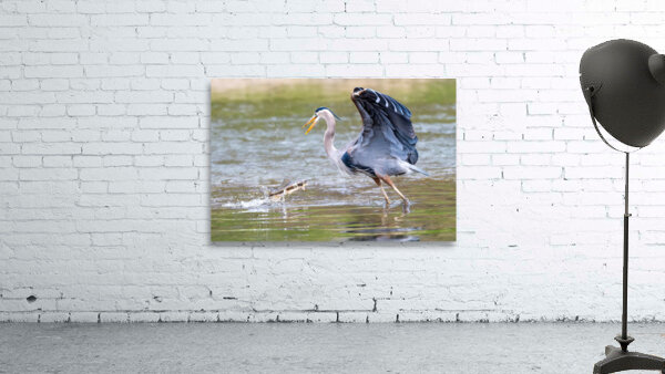 Not Today Wall Preview