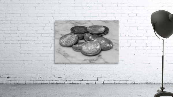 Silver Dollars on Marble Wall Preview