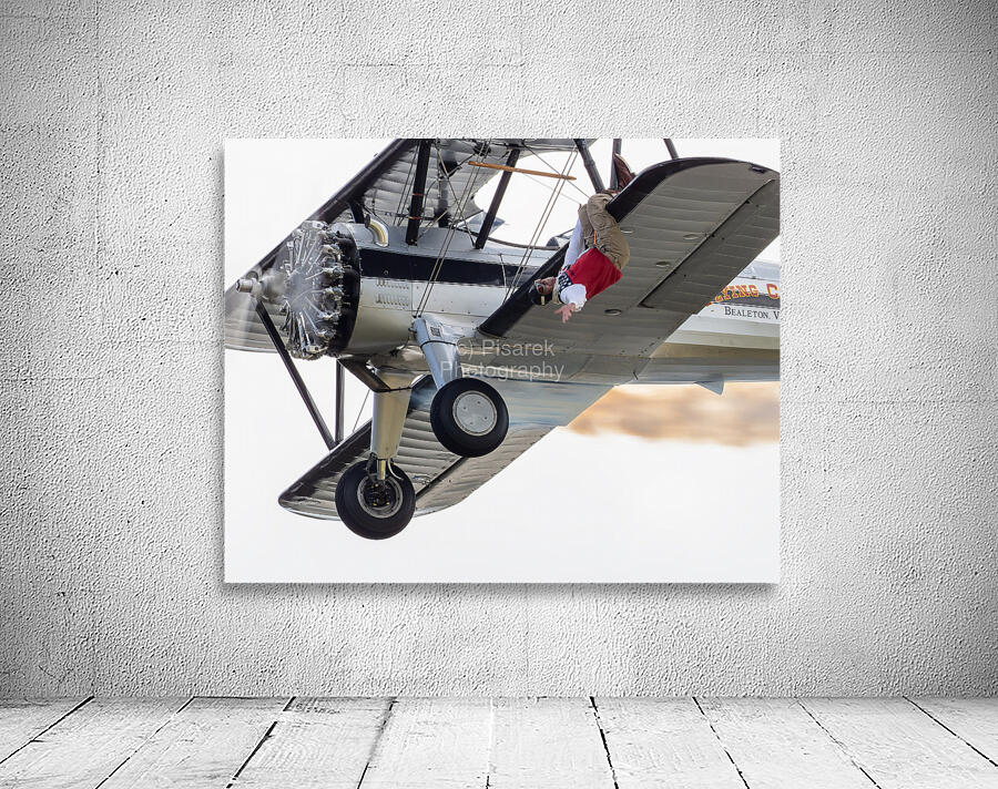 Flying Circus Wall Preview