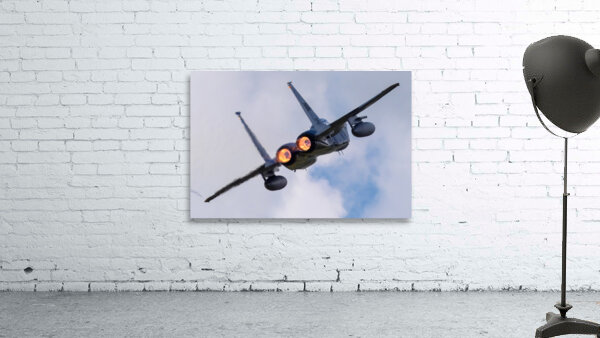 McDonnell Douglas USAF F-15 Eagle Wall Preview