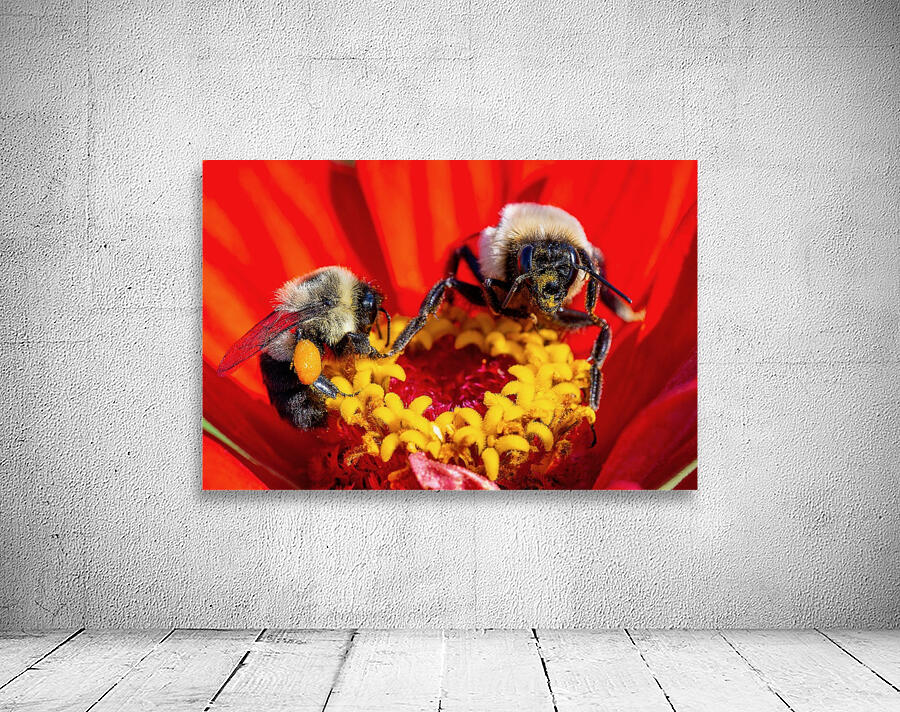 Busy Bees Wall Preview