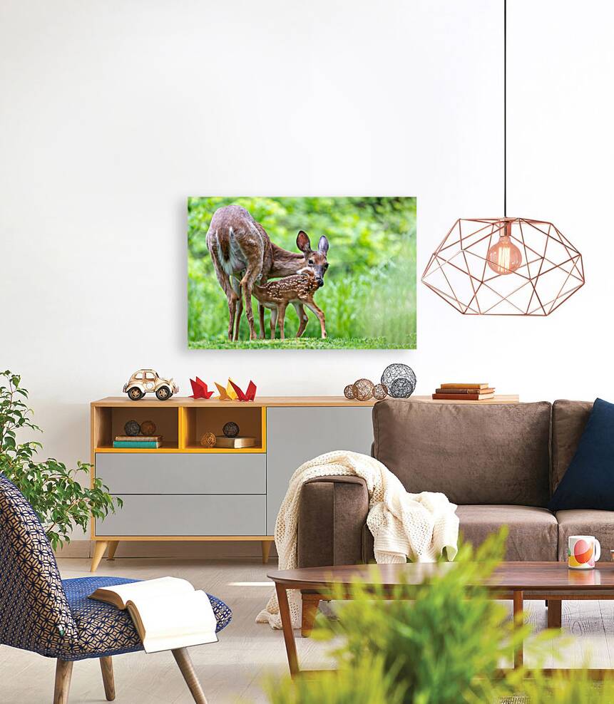 Doe & Fawn Reproduction