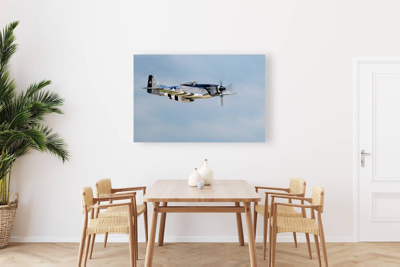 North American Aviation P-51D Mustang - Quick Silver Reproduction