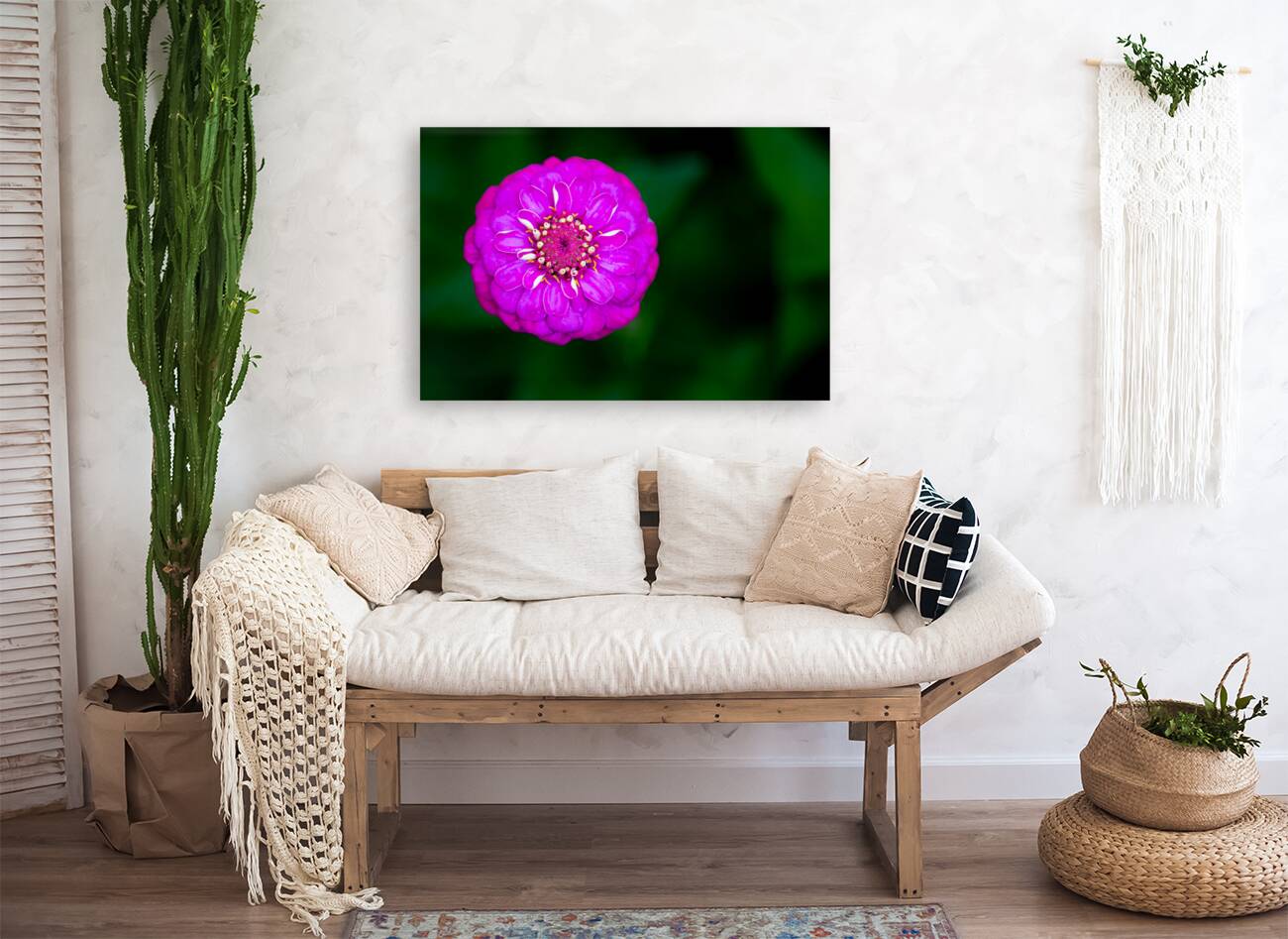 Purple Zinnia Reproduction