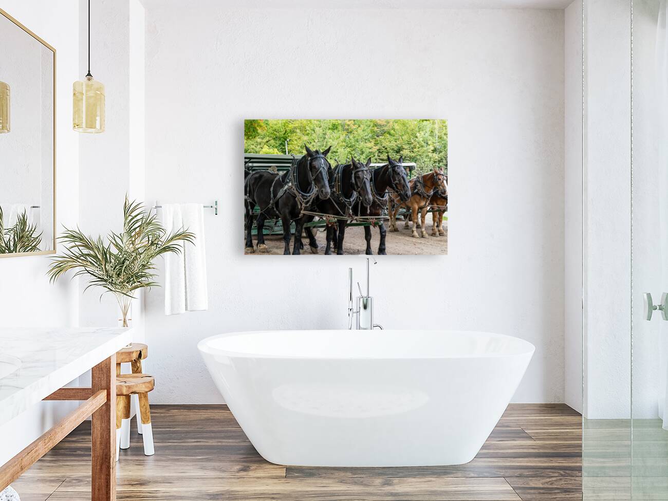 Teams of Horses Reproduction