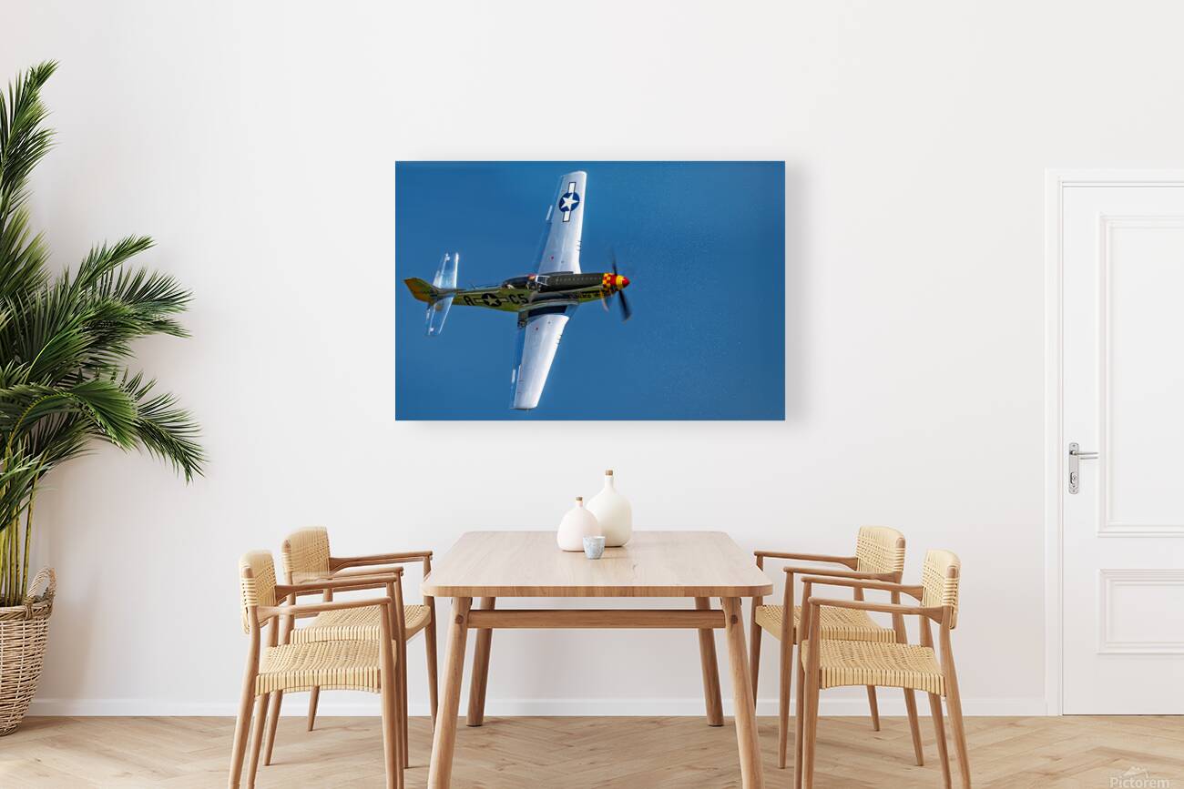 P-51D Mustang - Swamp Fox Reproduction