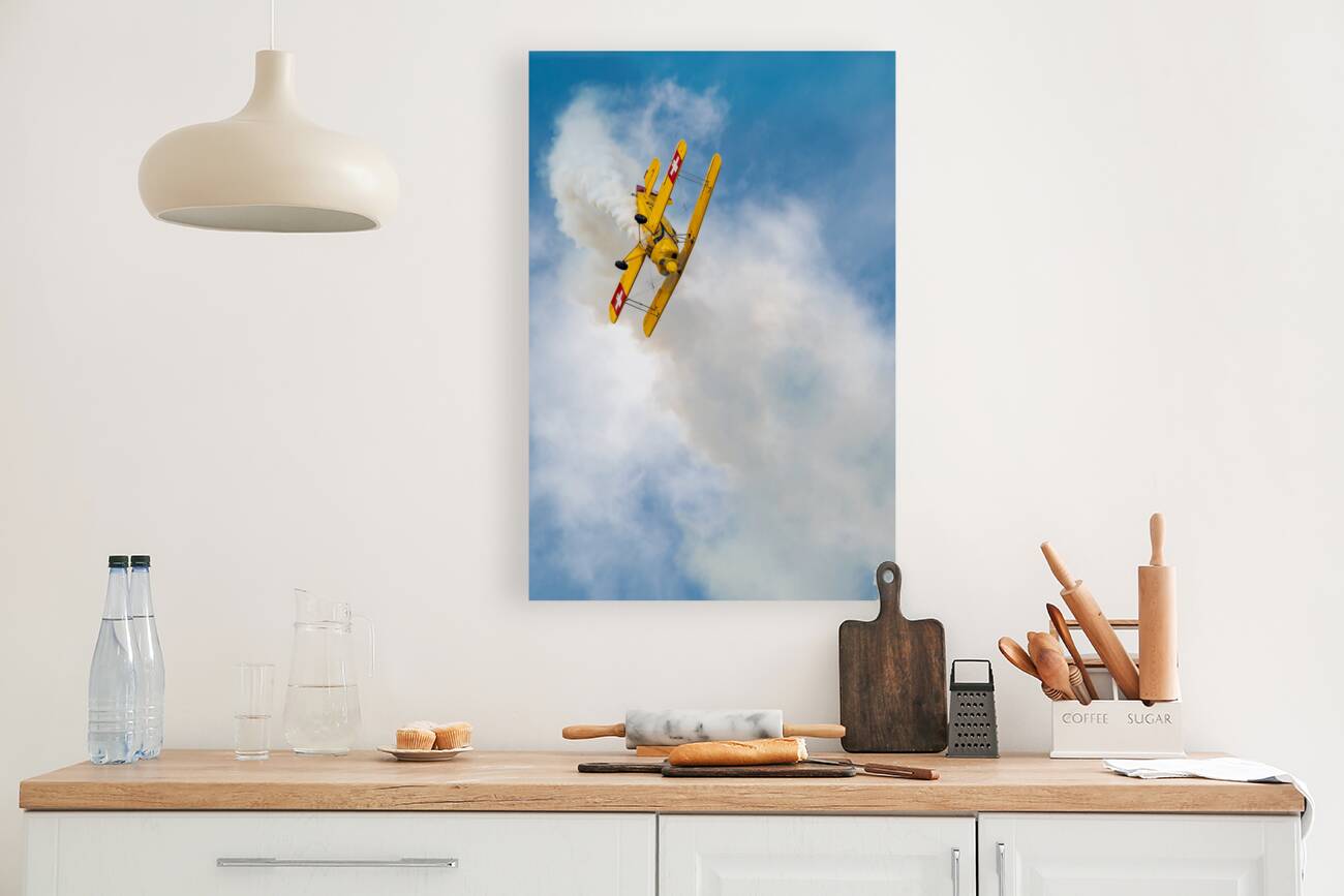 Freedom Reproduction