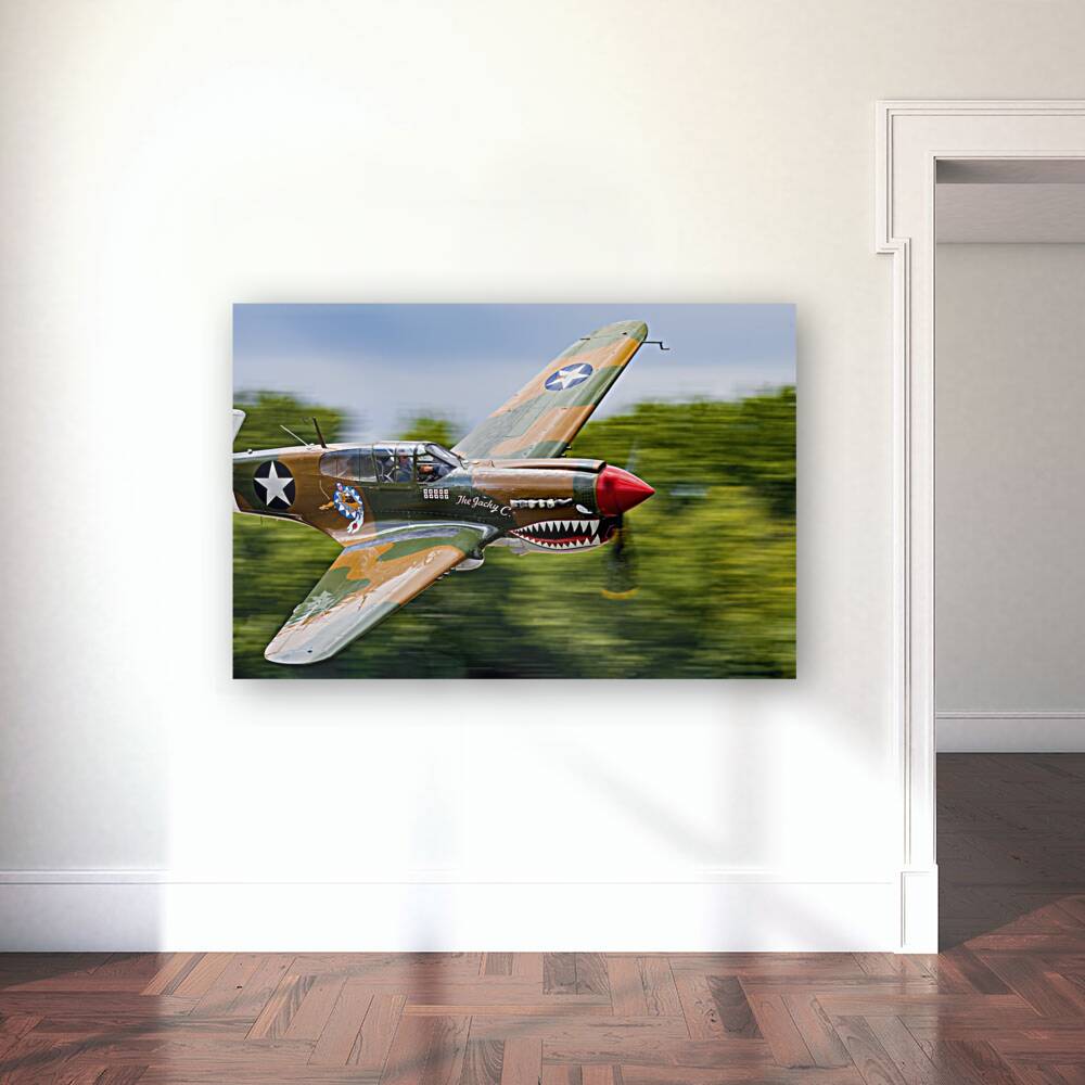 Curtiss P-40 WarHawk High Speed Pass Reproduction
