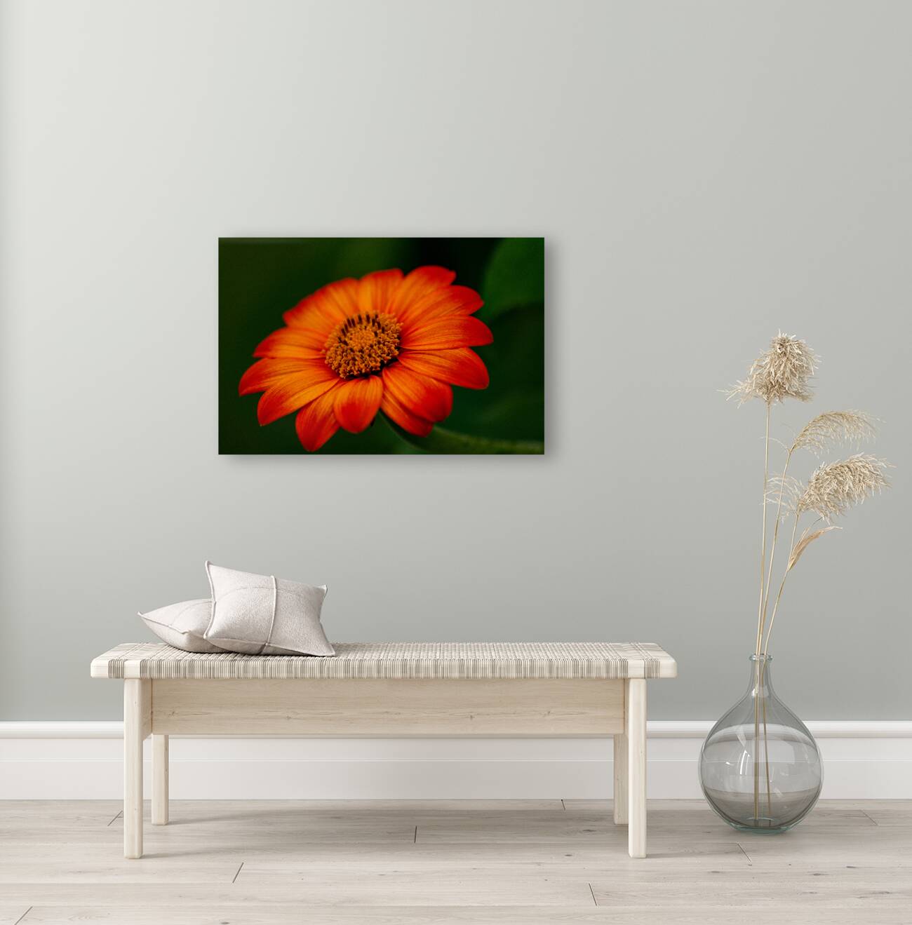 Orange Sunflower  Reproduction