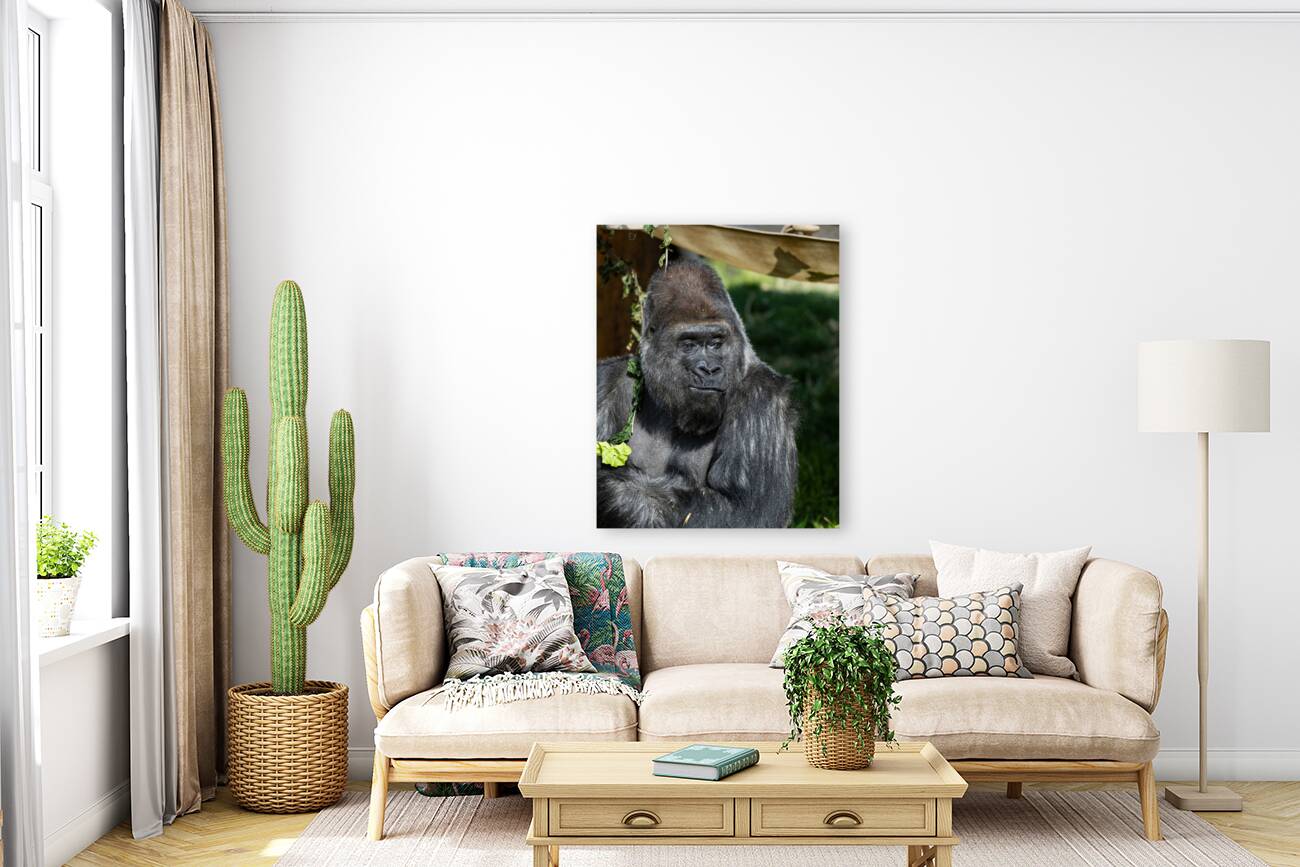 Gorilla Deep in Thought Reproduction