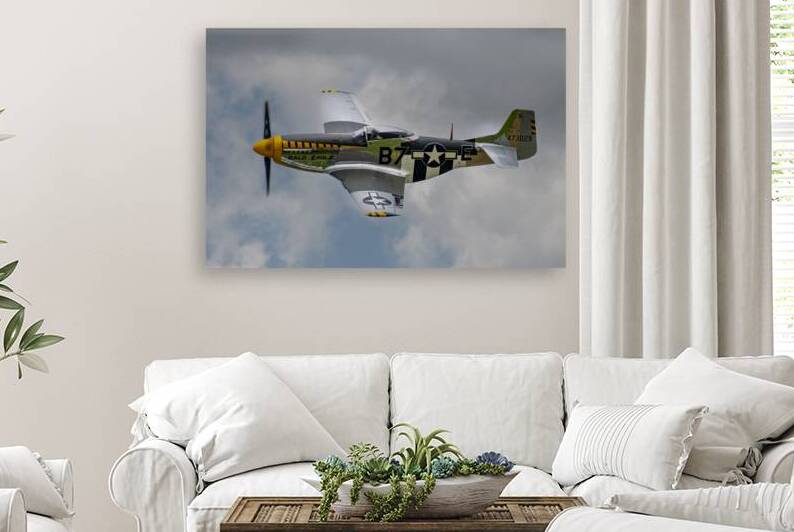 North American Aviation P-51D Mustang - Bald Eagle by Pisarek Photography