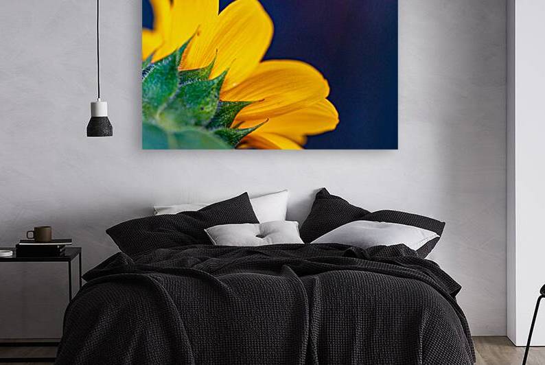 Yellow Sunflower by Pisarek Photography