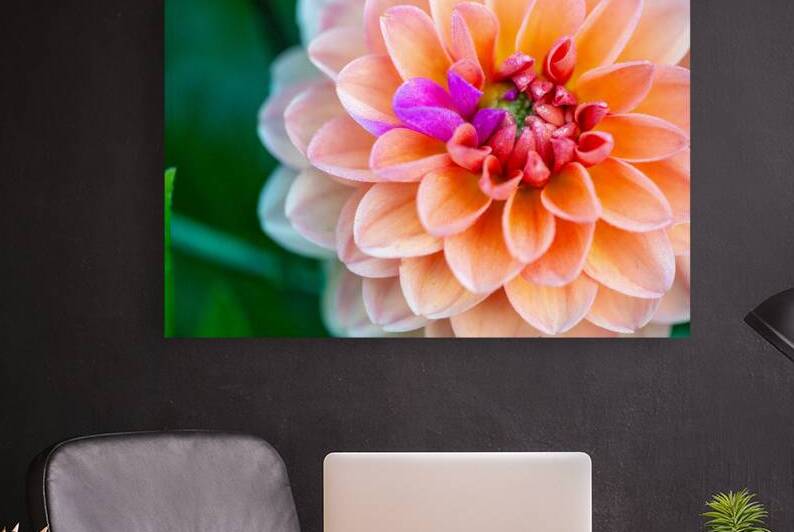 Peach Dahlia with a splash of Purple by Pisarek Photography