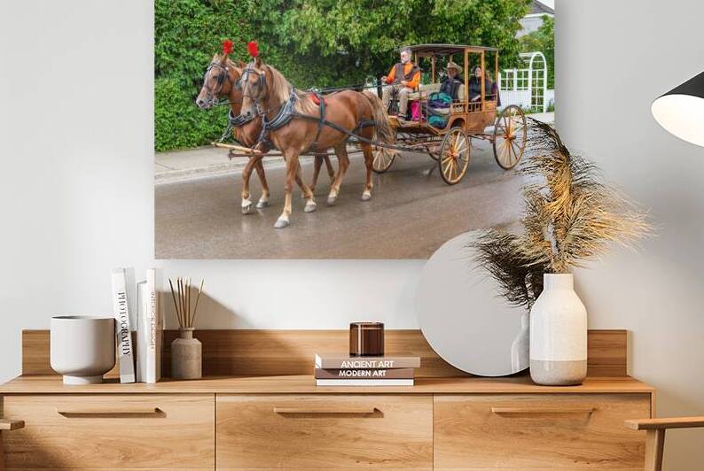 Horse and Carriage on Mackinac Island by Pisarek Photography