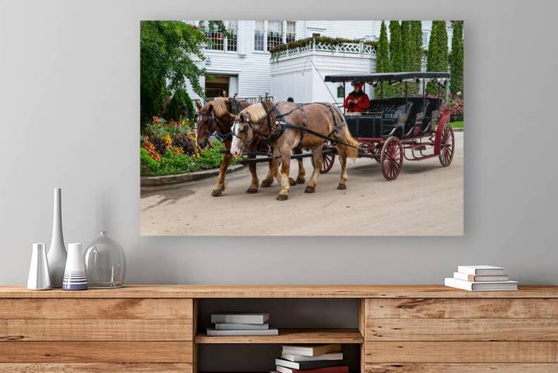 Horse and Carriage near The Grand Hotel by Pisarek Photography