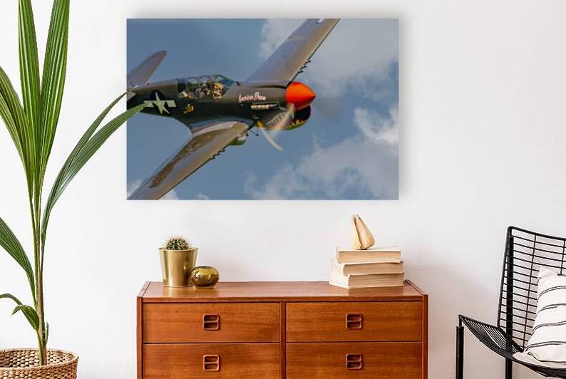 Curtiss P-40 Warhawk - American Dream by Pisarek Photography