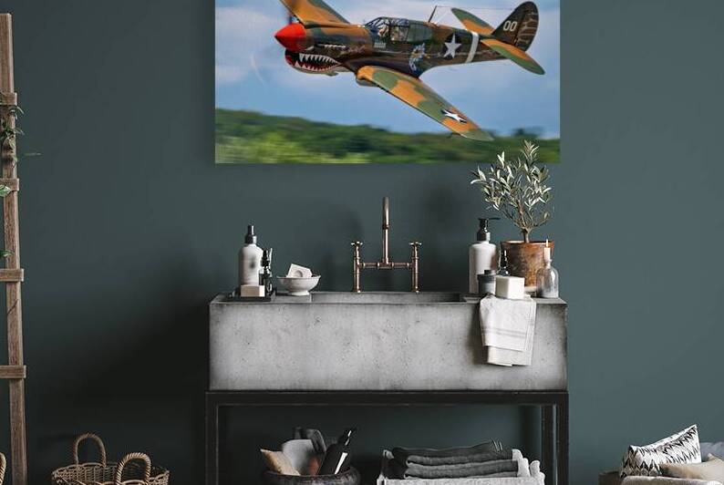 Curtiss P-40 Warhawk Low Altitude High Speed Pass by Pisarek Photography