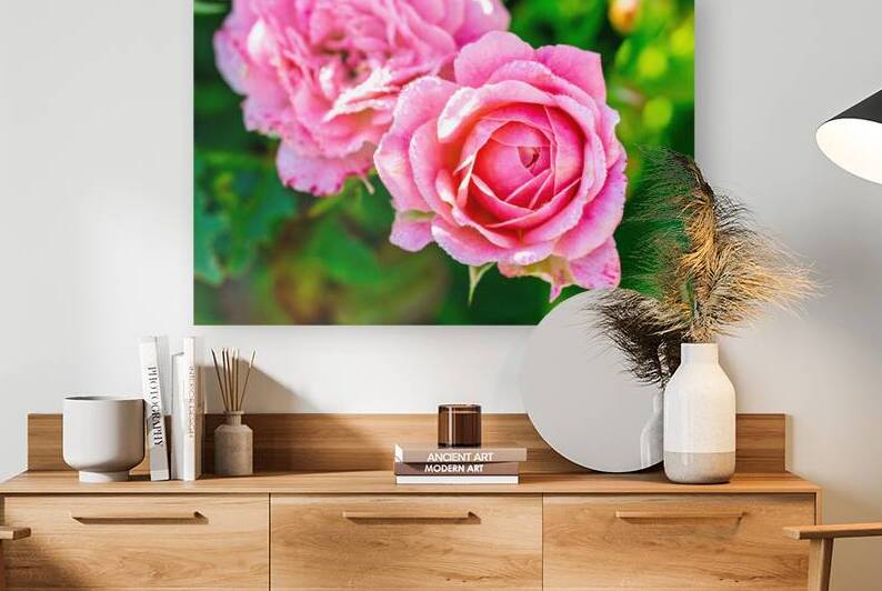 Pink by Pisarek Photography