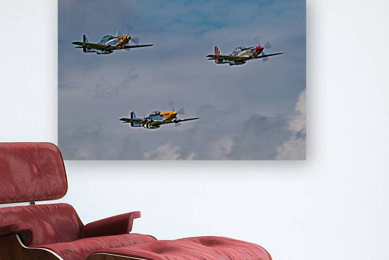 Flight Demonstration Team - Jack Aces by Pisarek Photography