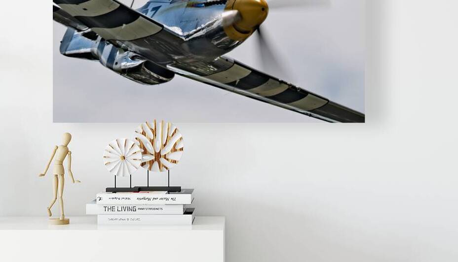 P-51 Mustang - Bald Eagle - Speed and Power by Pisarek Photography