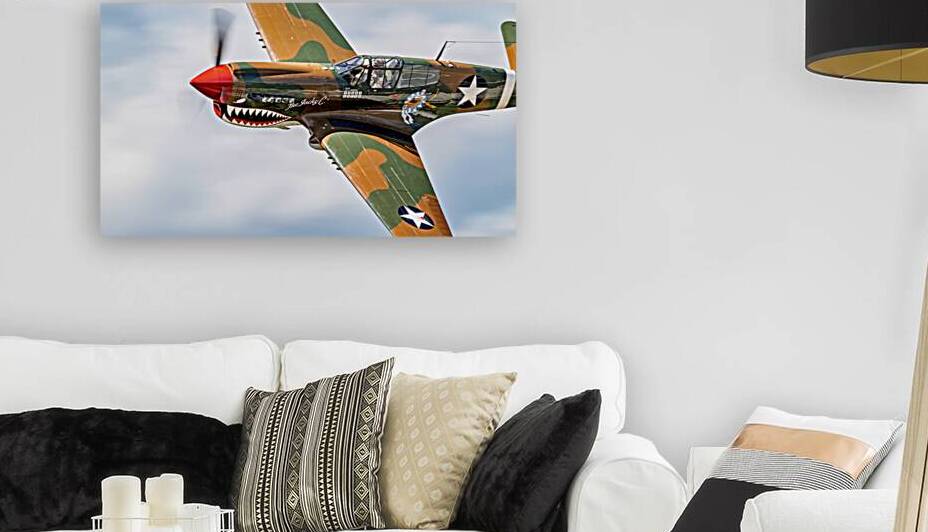 Curtiss P-40 WarHawk by Pisarek Photography