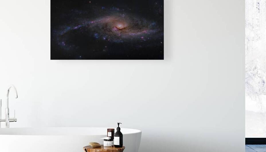 NGC 4536 – Spectacular Starburst Spiral in the constellation Virgo by Pisarek Photography