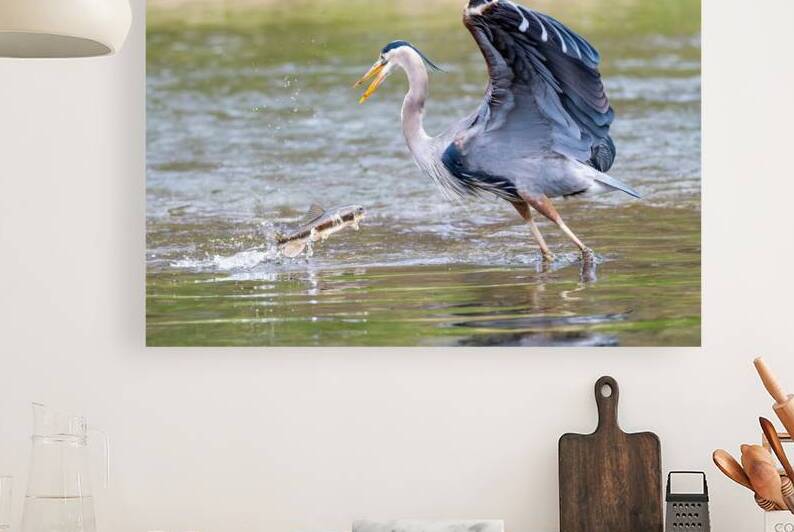 Not Today by Pisarek Photography