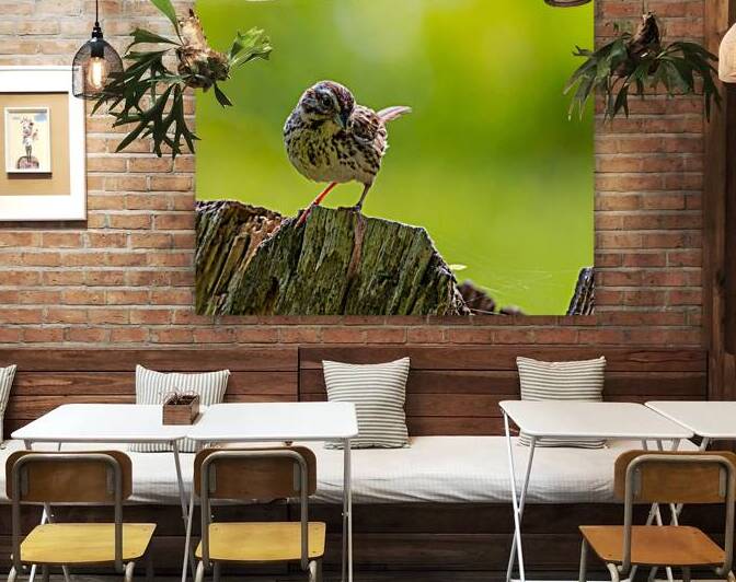 Cheeky by Pisarek Photography