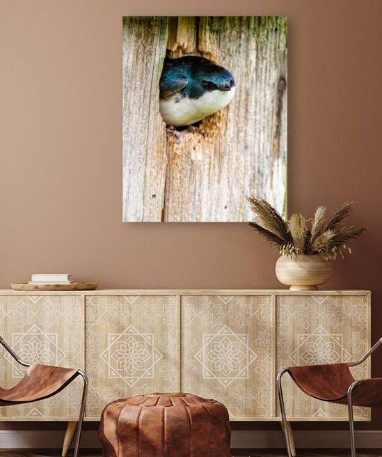 Hello There by Pisarek Photography