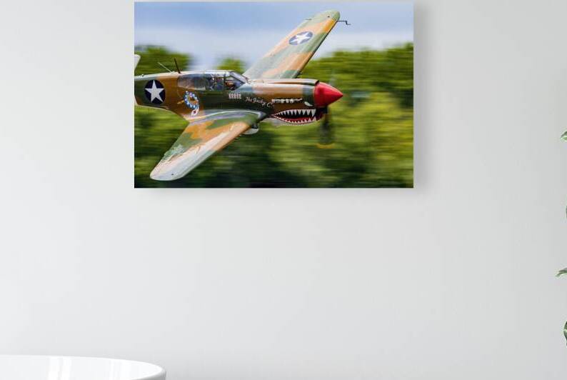 Curtiss P-40 WarHawk High Speed Pass by Pisarek Photography