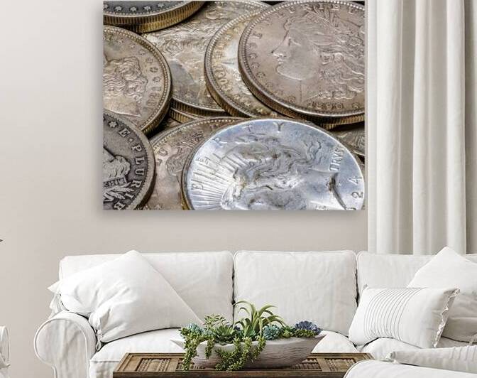 Silver Dollars by Pisarek Photography