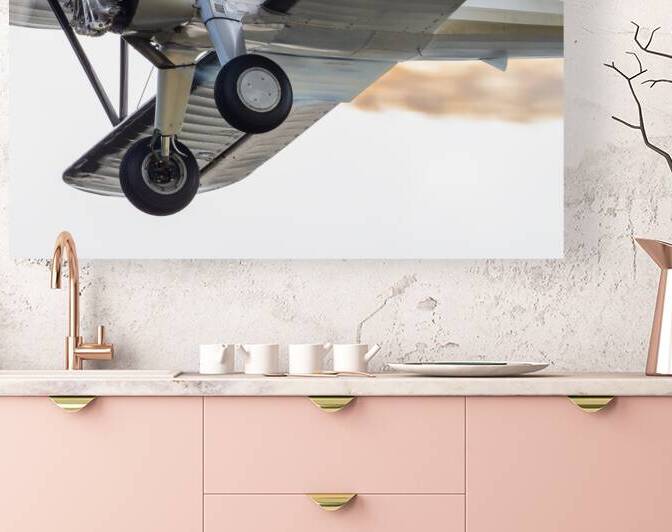 Flying Circus by Pisarek Photography