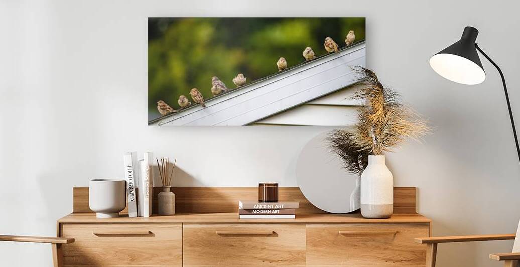 Sparrows on a Roof by Pisarek Photography