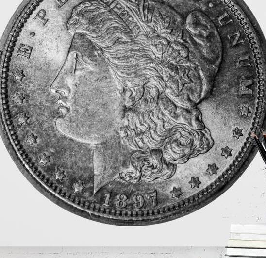 1897 Morgan Silver Dollar by Pisarek Photography
