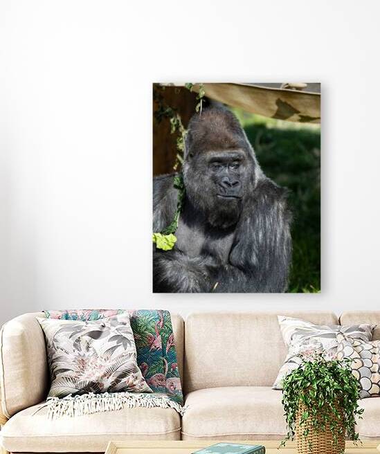 Gorilla Deep in Thought by Pisarek Photography