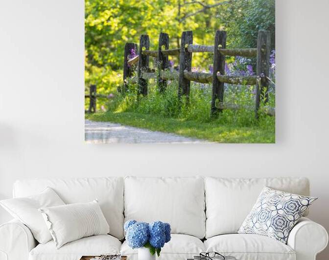 Fence and Flowers by Pisarek Photography